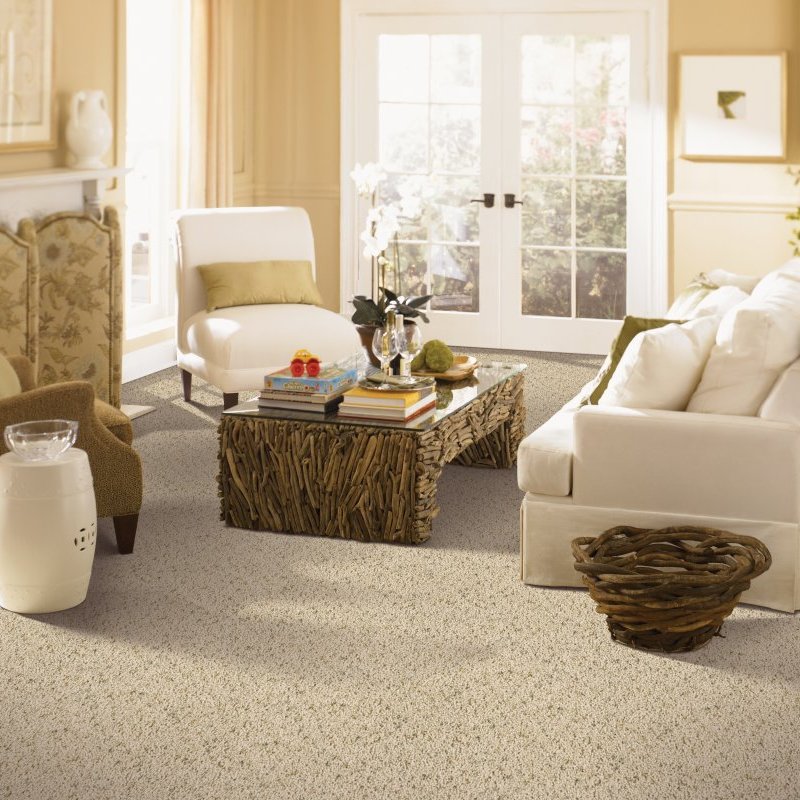 Capital Carpet LLC providing easy stain-resistant pet friendly carpet in Washington, DC - Downtown Lofts