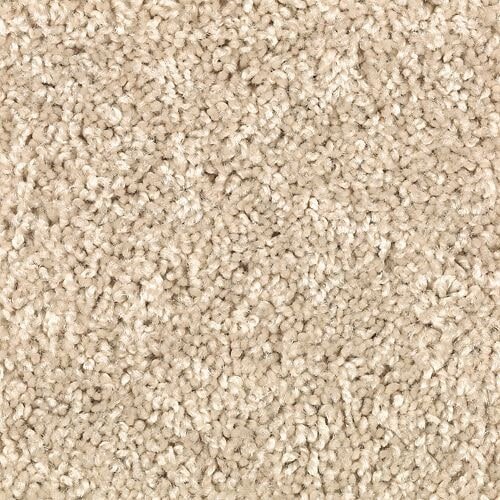 Toasted Tan from Capital Carpet LLC