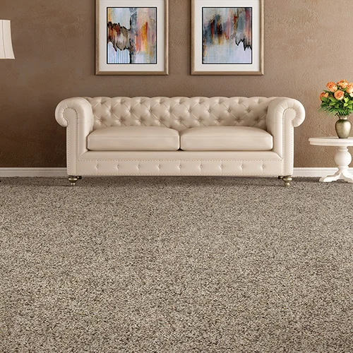 Capital Carpet LLC providing easy stain-resistant pet friendly carpet in Washington, DC