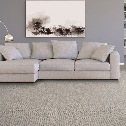 carpet for livingroom